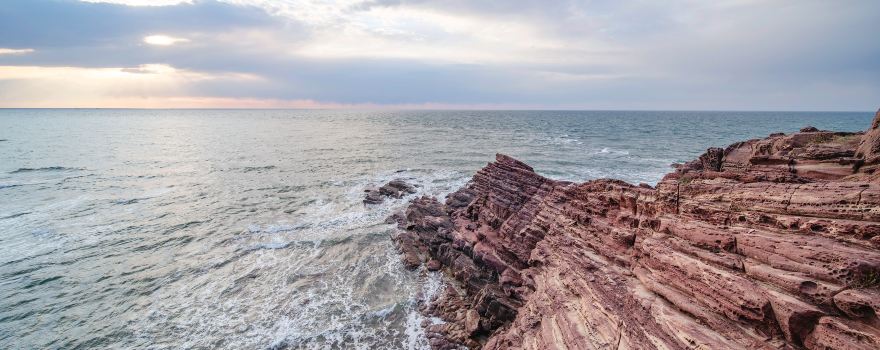 Rock Row Landscape