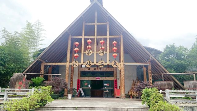 Huangpinglangdong Forest Hot Spring