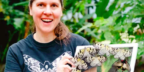 維多利亞蝴蝶園