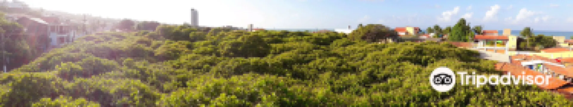 Pirangi do Norte
