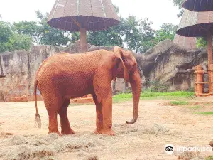 Zoo de Nakhon Ratchasima