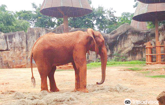 zoo di Nakhon Ratchasima