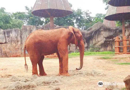 Hotels near Nakhon Ratchasima Zoo (Korat Zoo)