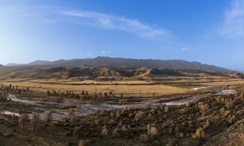 Bayanbulak