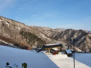 오투리조트