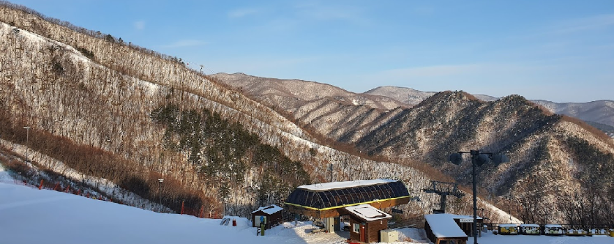 오투리조트