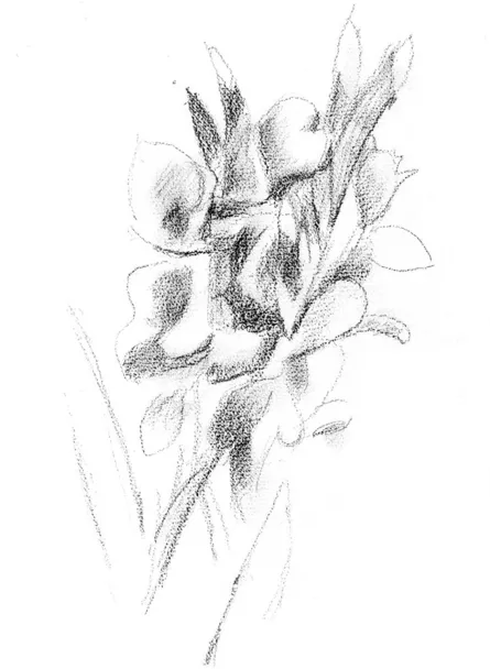 Alex Katz | Flower Journals | Salzburg