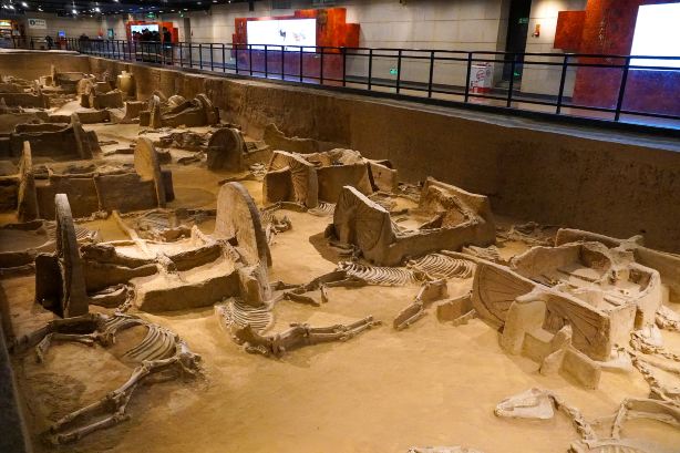 中国博物館⑥ 最新】天子駕六博物館 - チケット、営業時間、口コミ、写真 [2026年