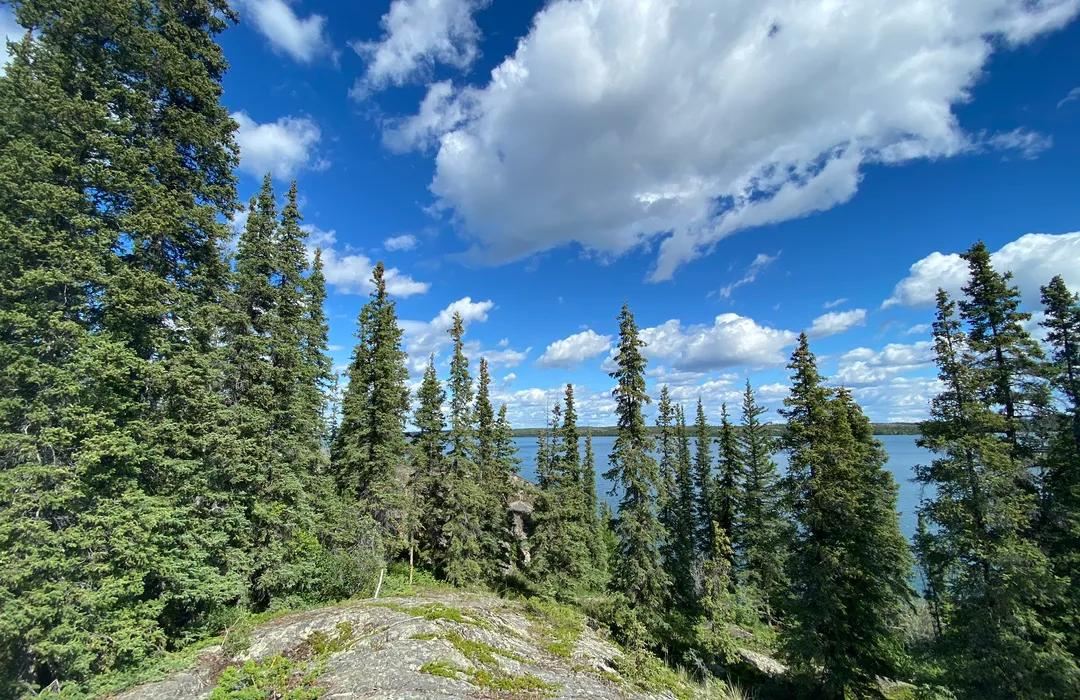 Tincan Hill Recreation Area