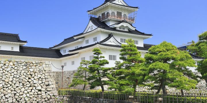 Toyama Castle