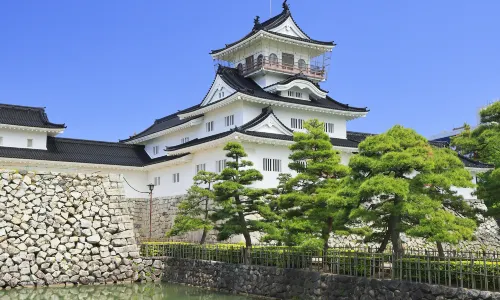 Toyama Castle Ruins