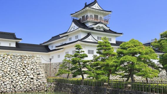 Toyama Castle