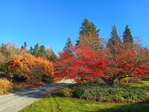 UBC Botanical Garden