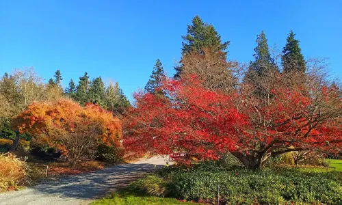 UBC Botanical Garden