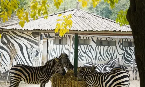 Zhengzhou Zoological Garden