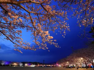 忠元公園