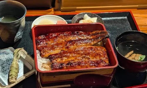 Wasabi Unagi Tsujimura
