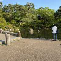 京都旅行！円山公園へ！