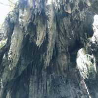 Canyoneering @ Kawasan Falls