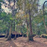 โรงเรียนการเมืองการทหาร