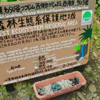 父島・大自然のトレッキング