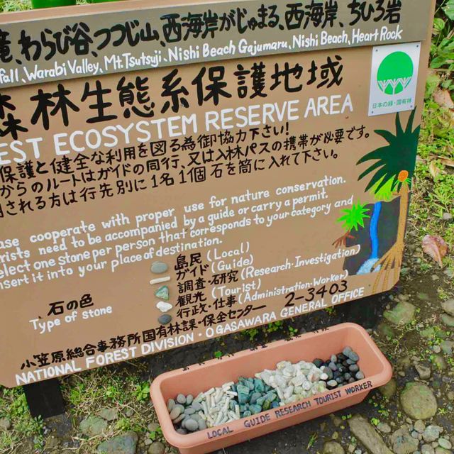 父島・大自然のトレッキング