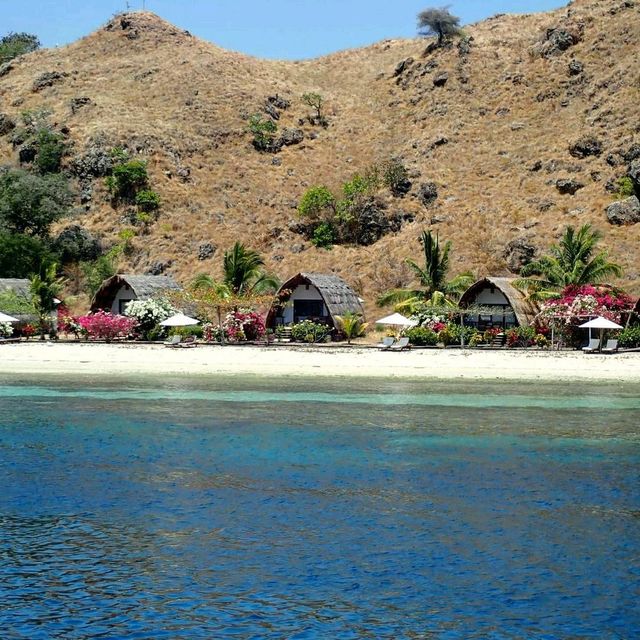 Komodo Resort