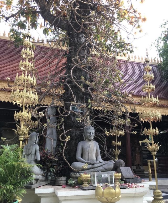金邊皇宮
