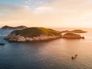 東海島