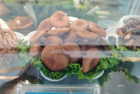 JUNCAI WILD MUSHROOM HOT POT User Photo