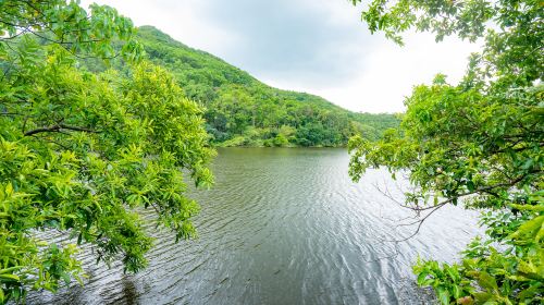 Xiandu Scenic Area