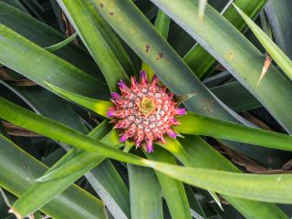 名護の名護バスターミナル周辺のホテル