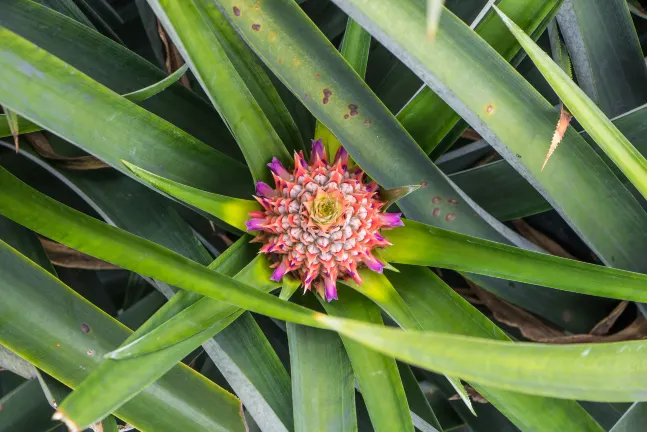 Отели рядом с достопримечательностью «Orion Happy Park»