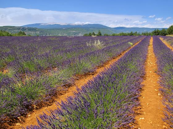 Provence