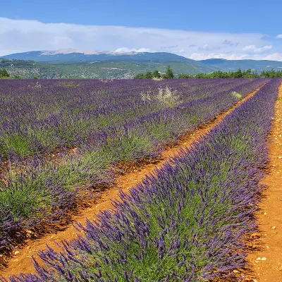 Hôtels Preferred à Saint-Tropez