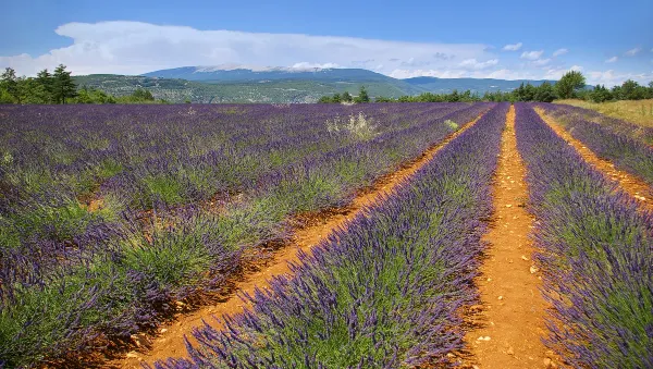 Air France to Aix-en-Provence