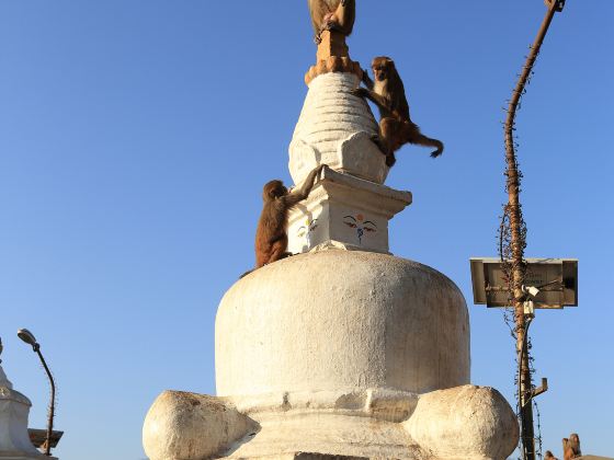 Boudhanath Stupa