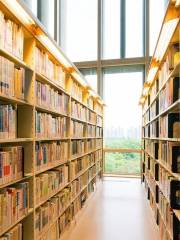 Pudongdiyi Library
