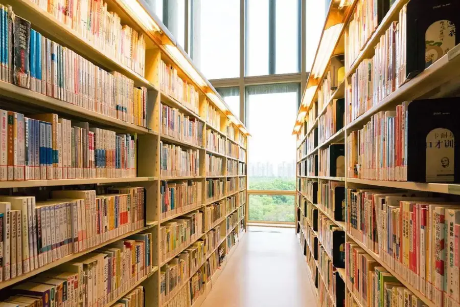 Pudongdiyi Library