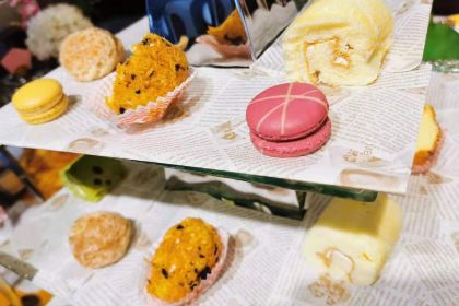 WU TONG SHU JIA RI JIU DIAN HUAN DAO CAN TING