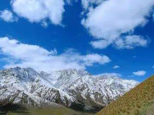 Yamen Grassland
