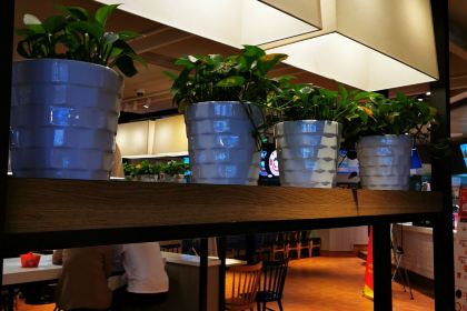 肯德基(濱湖萬達店)