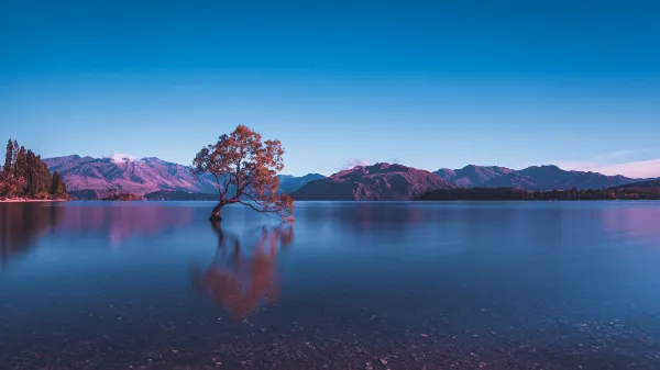 Mt Aspiring Holiday Park