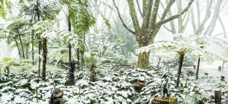 โรงแรมในมาเซรู