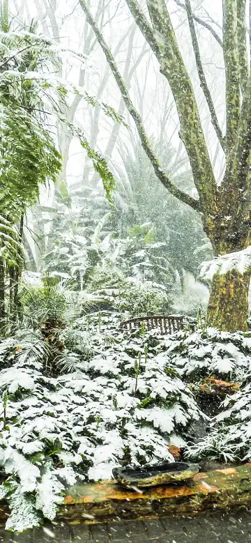 マセルのホテル