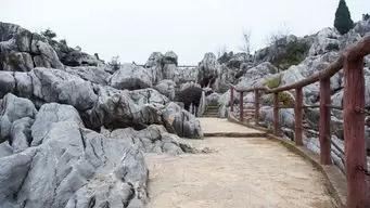 丫山花海石林旅遊區位於安徽省蕪湖市南陵縣境內，是安徽&ldq