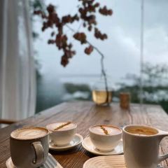 Tea & Company 여행 사진