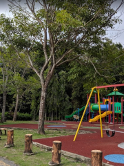 Bukit Shahbandar Forest Recreation Park