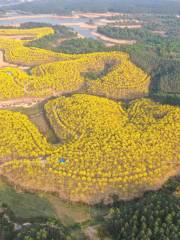 Huanghua Fengling Ecological Garden