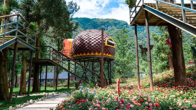 Jinfo Mountain Starry Sky Camping Base